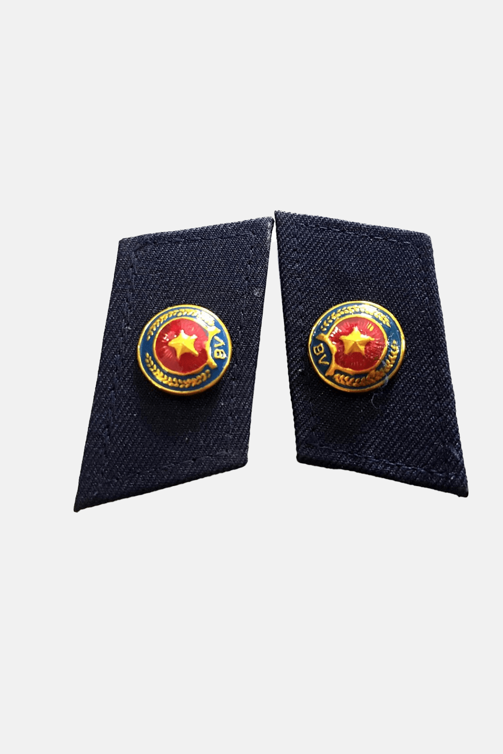 Security Lapel Pin on collar
